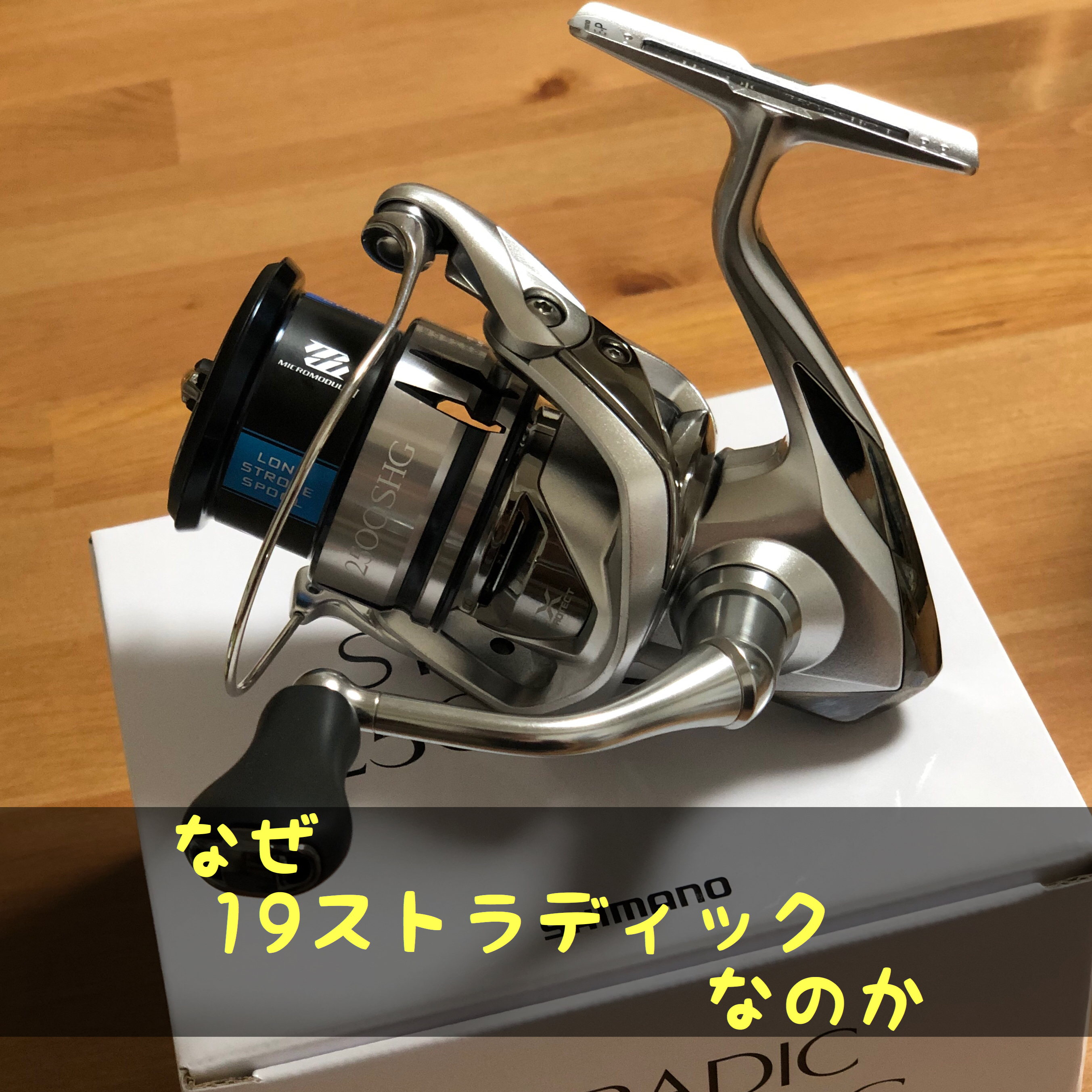 シマノ 19 ストラディックC5000XG 【特別セール品】